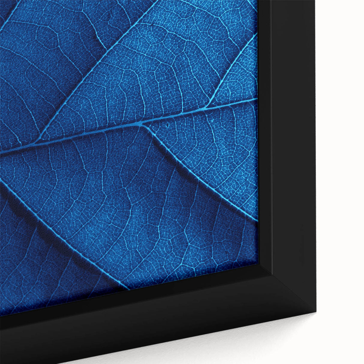 Extra large black wall art featuring a close-up of colorful, textured florals on framed canvas, ideal for living room decor.