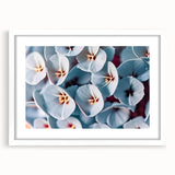 Abstract art print featuring a close-up of floral designs in soft pink and white tones, framed with a white mat.