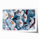 Extra large rolled print of vibrant floral art in pastel shades, ideal for dining room or classy bathroom decor.