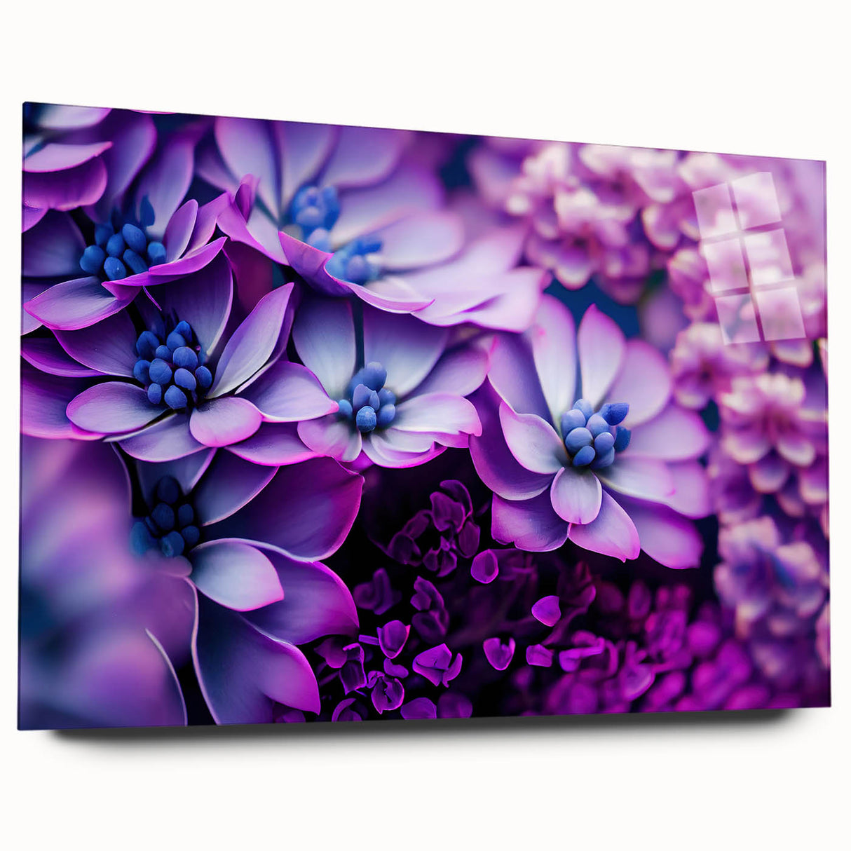Large abstract wall art featuring close-ups of florals in vibrant colors on acrylic glass.