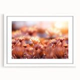Abstract art print of vibrant florals in muted orange and green, framed in white, suitable for dining room decor.