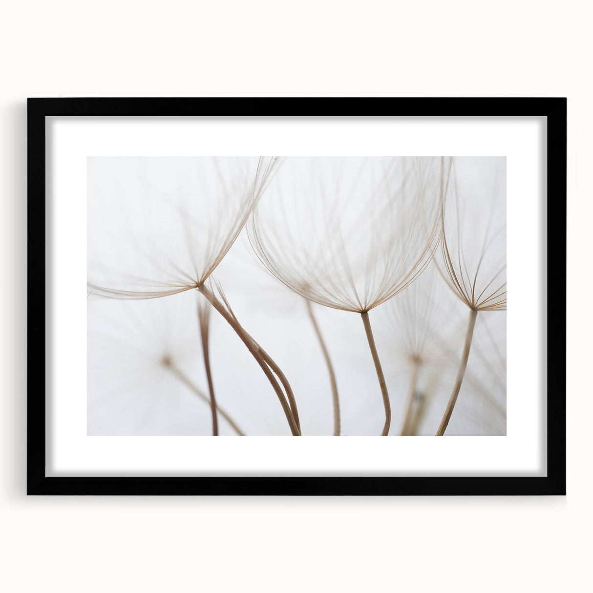 Extra large abstract art print featuring colorful, textured florals in a black frame, suitable for living room decor.