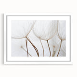 Abstract art print featuring close-up floral designs in soft pastel shades on a white framed canvas.