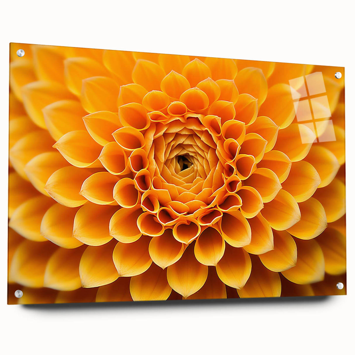 Close-up of a floral design in vibrant colors on acrylic glass, suitable for bedroom or dining room decor.
