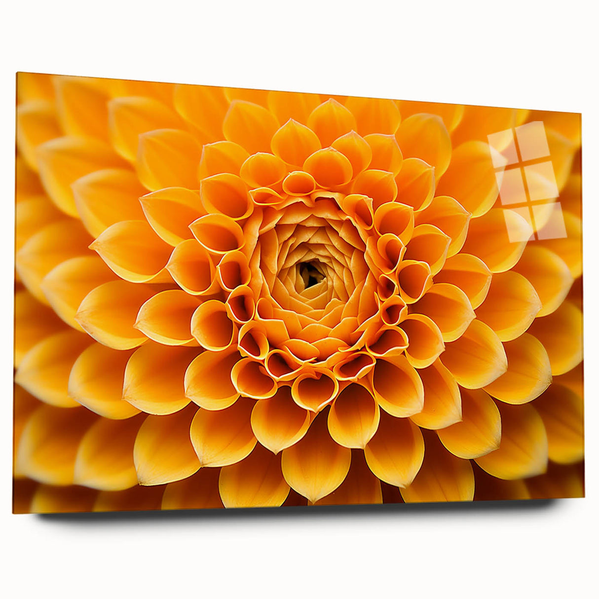 Large abstract wall art featuring close-up floral designs in vibrant colors on acrylic glass.
