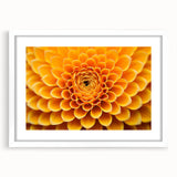 Abstract art print featuring a close-up of florals in soft pink and green tones, displayed in a white frame.