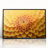 Large abstract wall art featuring floral designs in vibrant colors, framed in black acrylic.