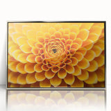 Mid-century modernist art depicting florals in muted pastel shades on a framed acrylic, ideal for nursery wall art.