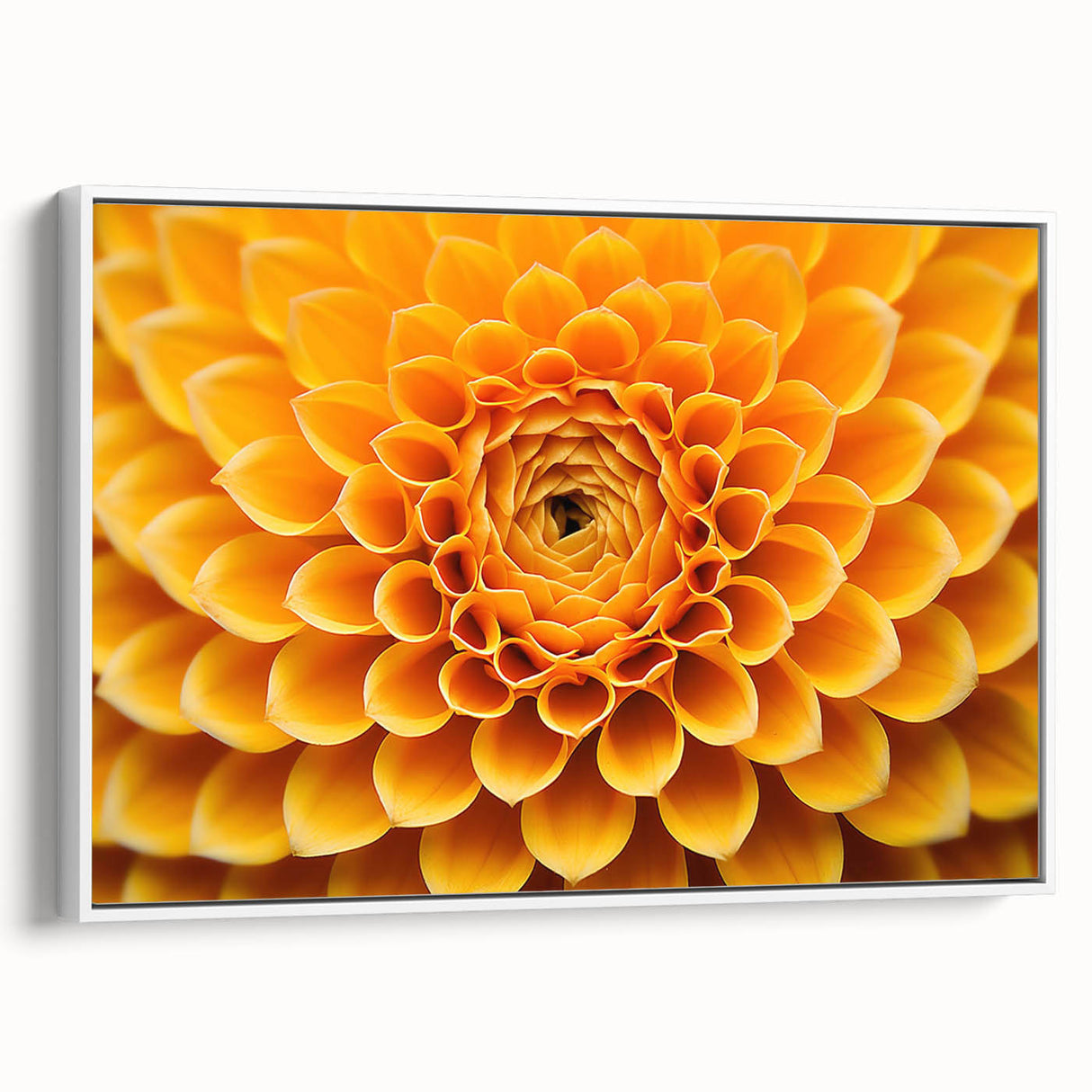 Extra large framed canvas featuring vintage poster art of colorful florals on a black background.