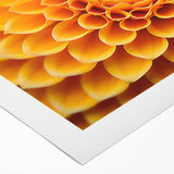 Art deco poster featuring a close-up floral design in muted pastel shades on rolled canvas.