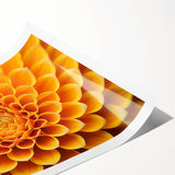 Extra large wall art featuring line art flowers in black on white, rolled print, ideal for large living room decor.