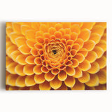 Black and white close-up floral image on large stretched canvas, ideal for kitchen wall art.