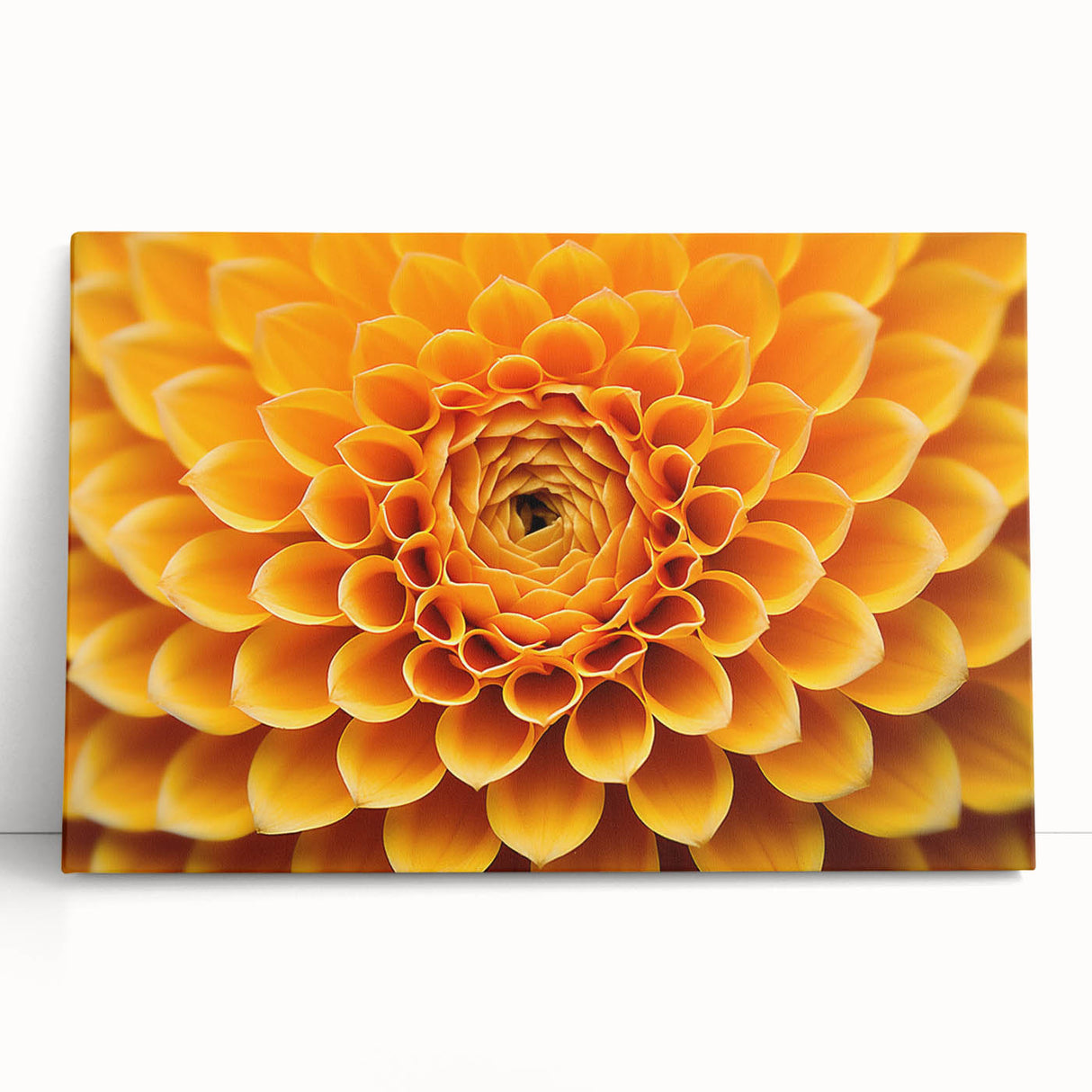 Black and white close-up floral photograph on stretched canvas, ideal for kitchen wall art.
