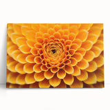 Black and white close-up floral photograph on stretched canvas, ideal for kitchen wall art.