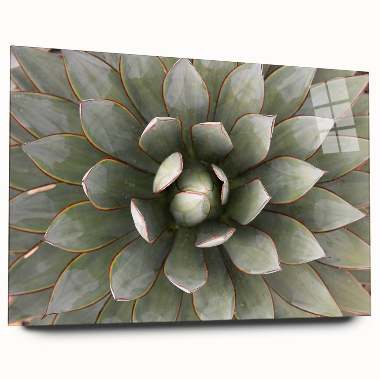 Large abstract floral design in vibrant colors on acrylic glass, ideal for bedroom or dining room art.