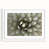 Abstract art print featuring close-up floral designs in soft pastel shades, framed with a white mat.