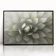 Large abstract wall art featuring floral designs in vibrant colors on black acrylic, framed.