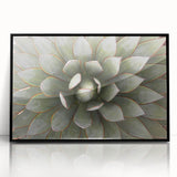 Large abstract wall art featuring floral designs in vibrant colors on black acrylic, framed.