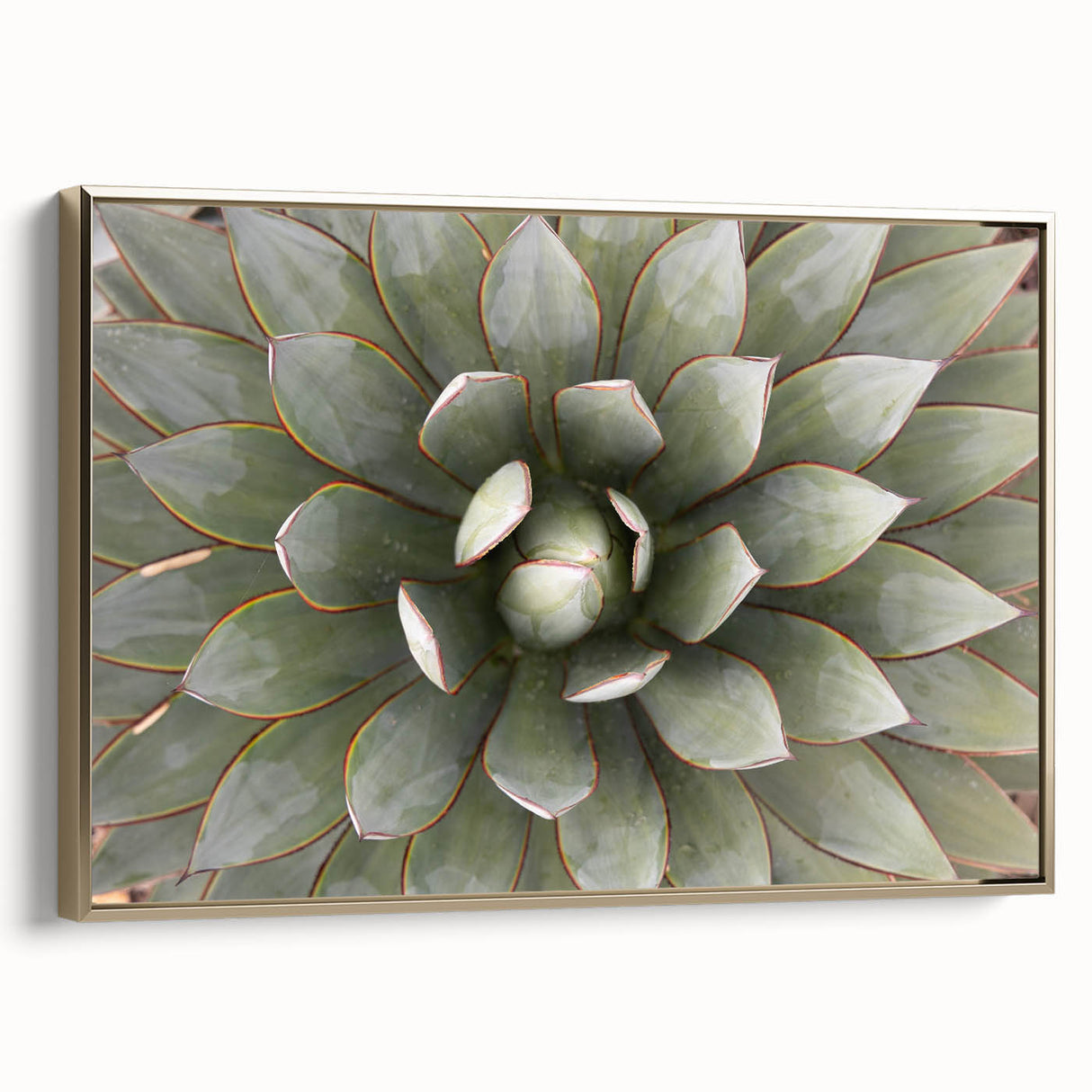 Framed canvas featuring a vintage-style landscape painting with a black and gold color palette, ideal for bedroom wall art.