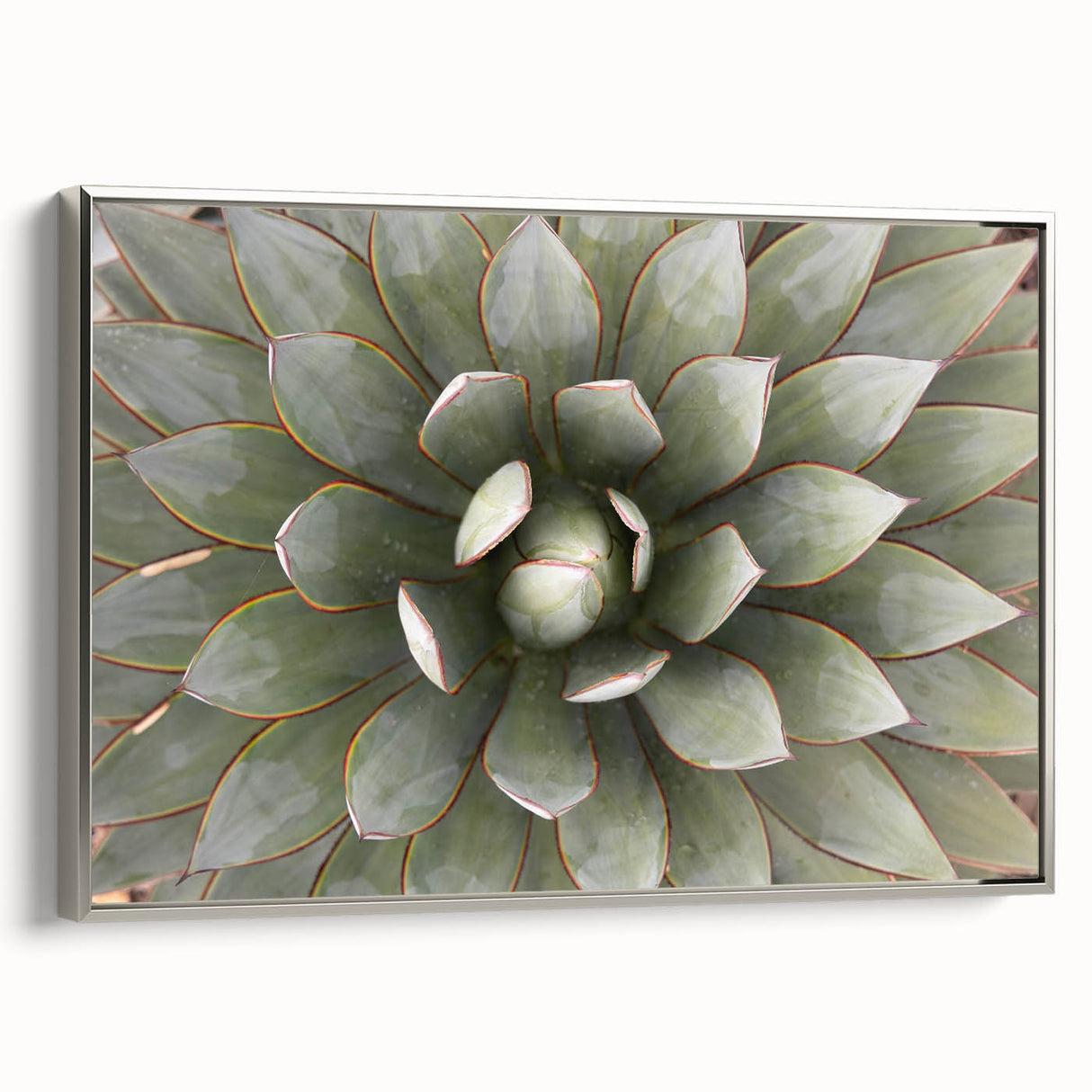 Landscape art painting featuring colorful florals on a black background, framed in silver, suitable for living room decor.