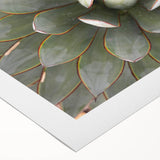 Art deco poster featuring a floral design on a rolled canvas, with muted pastel colors, ideal for dining room wall art.