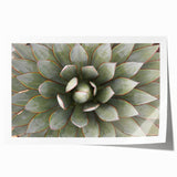 Close-up floral art on a rolled print featuring soft pink and green tones.