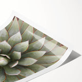 Extra large wall art featuring line art flowers in black and white on a rolled canvas, ideal for large living room decor.