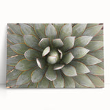 Black and white close-up floral photograph on stretched canvas, ideal for kitchen wall art or bedroom ambiance.