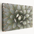 Close-up floral image on stretched canvas with vibrant green and pink tones, suitable for kitchen wall art.