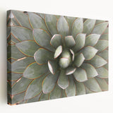Close-up floral image on stretched canvas with vibrant green and pink tones, suitable for kitchen wall art.