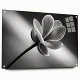 Close-up floral design in vibrant colors on acrylic glass, suitable for bedroom or dining room decor.