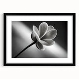 Extra large, textured abstract art print featuring vibrant, colorful floral designs on a black framed canvas.