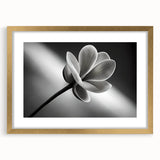 Extra large abstract art print featuring textured floral designs in gold tones, framed with a mat.