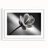 Abstract art print featuring close-up floral designs in soft pastel shades on a white framed canvas.