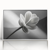 Art deco poster of vibrant florals in full bloom, framed in white acrylic, ideal for nursery wall art.