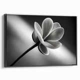 Black and white framed canvas featuring a close-up floral design, ideal for bedroom wall art.