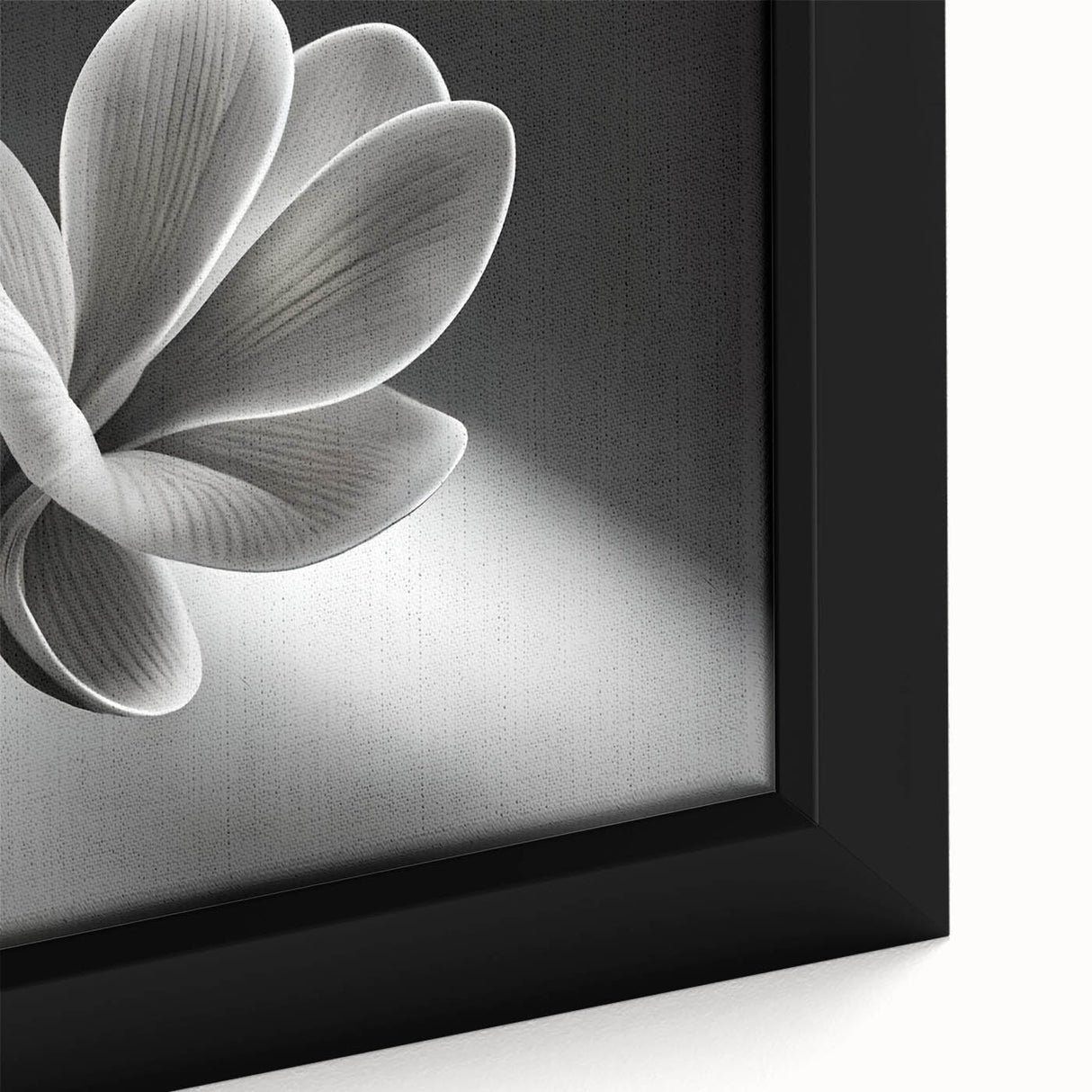 Extra large framed canvas featuring a close-up of colorful, textured florals on a black background.