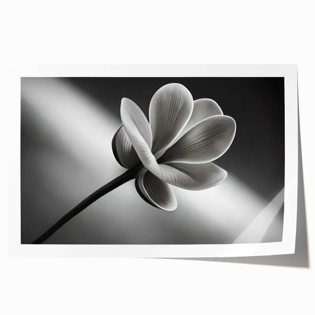 Extra large rolled print of close-up floral design in soft pastel shades, suitable for dining room or bathroom wall art.