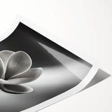 Extra large wall art featuring line art flowers in black on white, rolled print, suitable for large living room decor.
