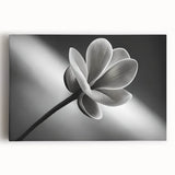 Black and white close-up floral image on stretched canvas.