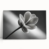 Black and white floral photograph on a stretched canvas, ideal for kitchen wall art or bedroom ambiance.