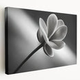 Close-up floral canvas showing detailed petals in soft pink and white, ideal for kitchen wall decor.