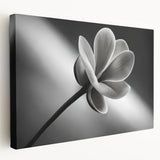 Close-up floral canvas showing detailed petals in soft pink and white, ideal for kitchen wall decor.