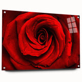 Acrylic glass print of large abstract floral design in vibrant colors, suitable for bedroom or dining room decor.