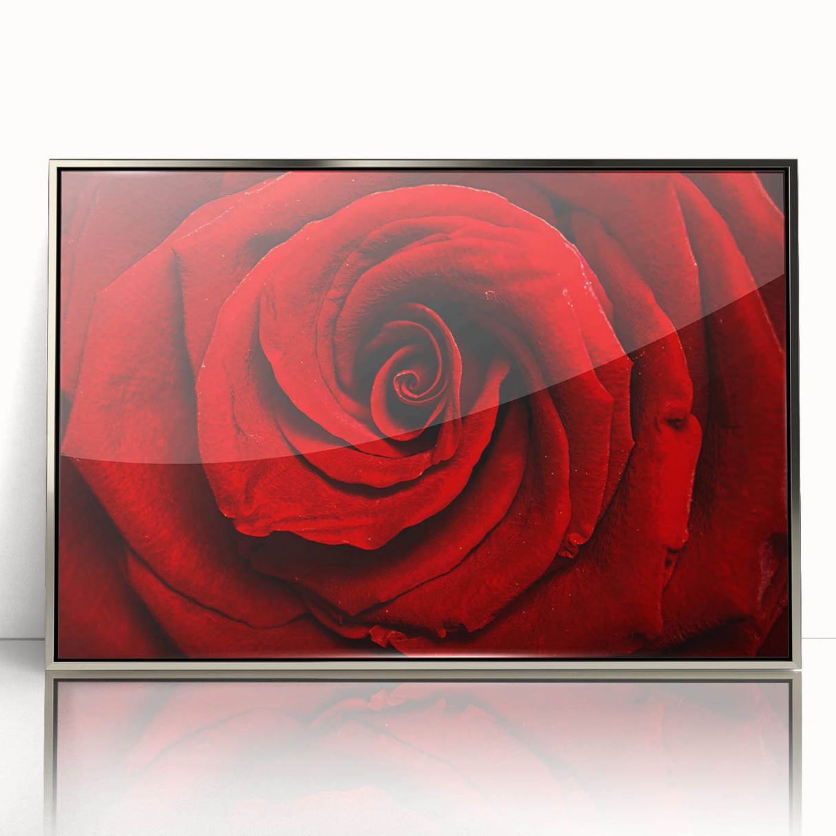 Mid-century modernist art depicting a floral design in soft pastel hues on a silver-framed acrylic.