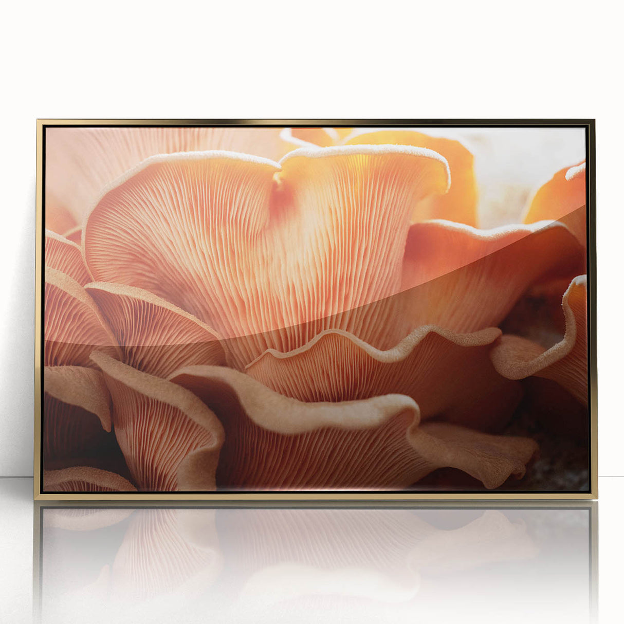 Large art print of a close-up floral design in vibrant colors on a gold-framed acrylic, ideal for modern nursery wall art.