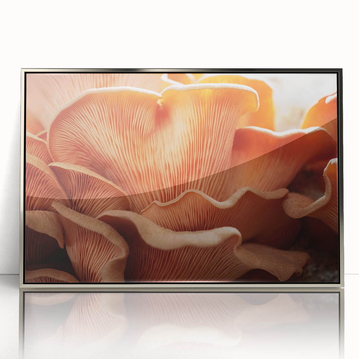 Mid-century modernist floral design in acrylic, framed in silver, with soft pastel colors, suited for nursery wall art.
