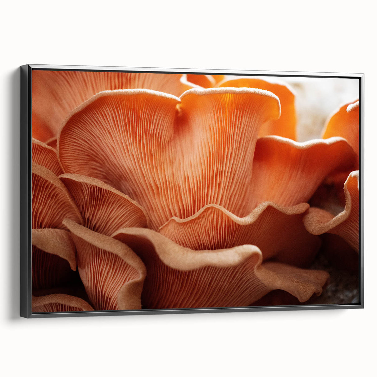 Black and white framed canvas featuring a close-up floral design, ideal for bedroom wall decor.