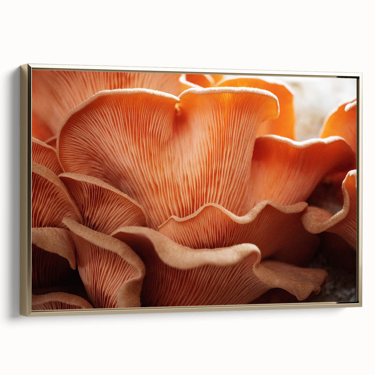 Framed canvas featuring a close-up floral design in muted gold and black, ideal for bedroom wall art.