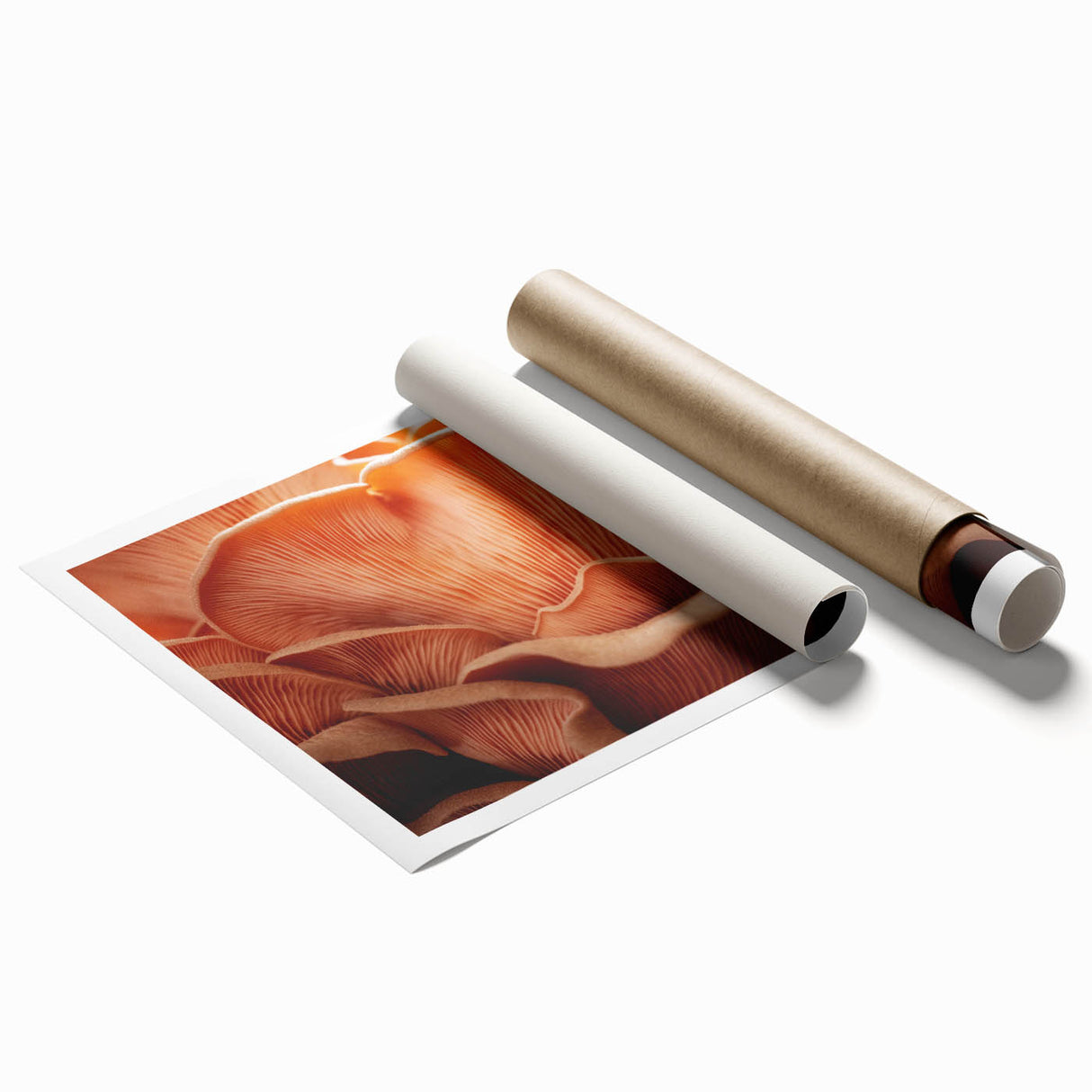 Extra large rolled print featuring detailed floral art in soft pastel shades.